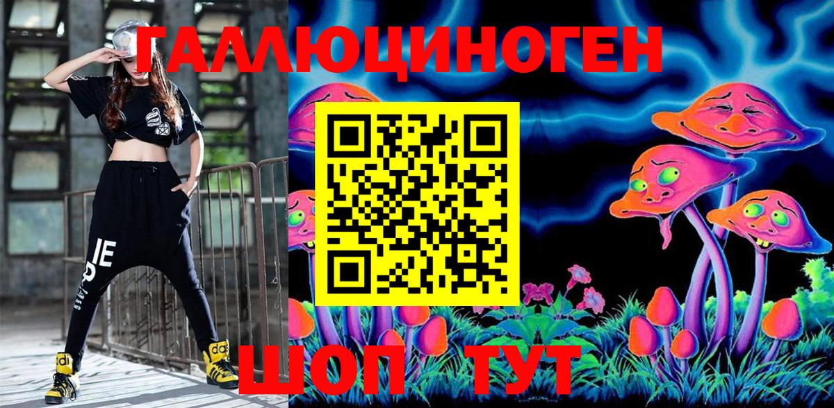 Ленинск-Кузнецкий  Псилоцибиновые грибы Cubensis  Вход с VPN 